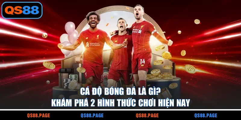 Cá Độ Bóng Đá Là Gì? Khám Phá 2 Hình Thức Chơi Hiện Nay