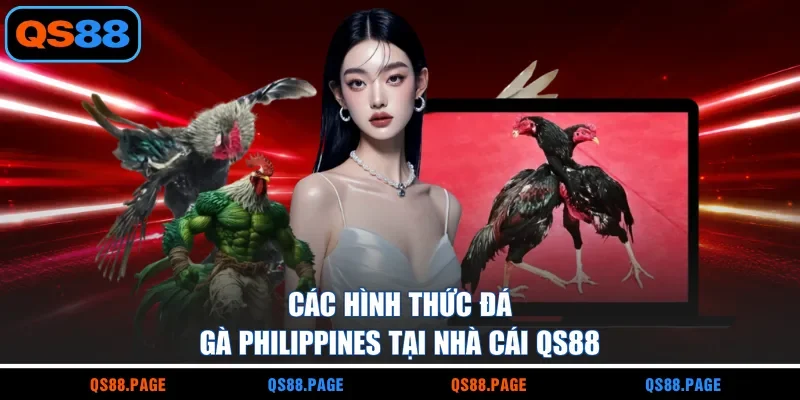 Các hình thức đá gà Philippines tại nhà cái QS88