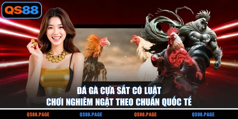 Đá gà cựa sắt có luật chơi nghiêm ngặt theo chuẩn quốc tế