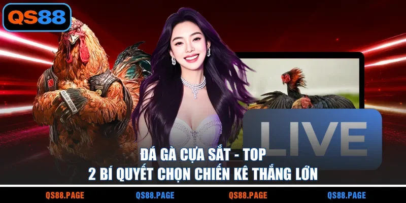Đá Gà Cựa Sắt - Top 2 Bí Quyết Chọn Chiến Kê Thắng Lớn