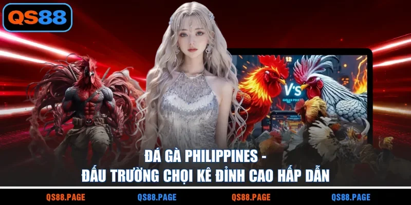 Đá Gà Philippines - Đấu Trường Chọi Kê Đỉnh Cao Hấp Dẫn