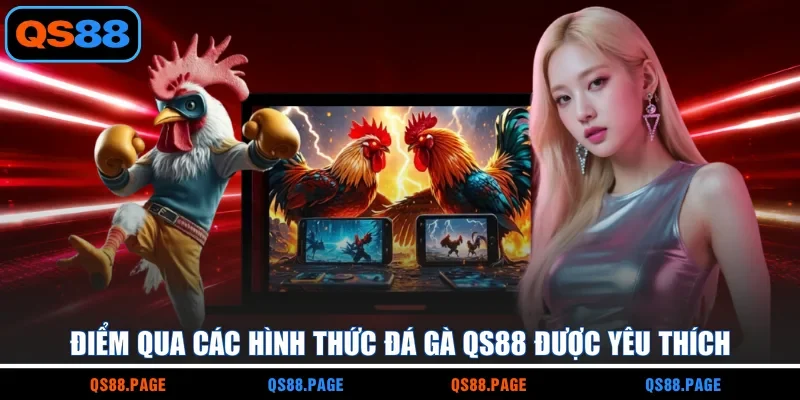 Điểm qua các hình thức đá gà QS88 được yêu thích
