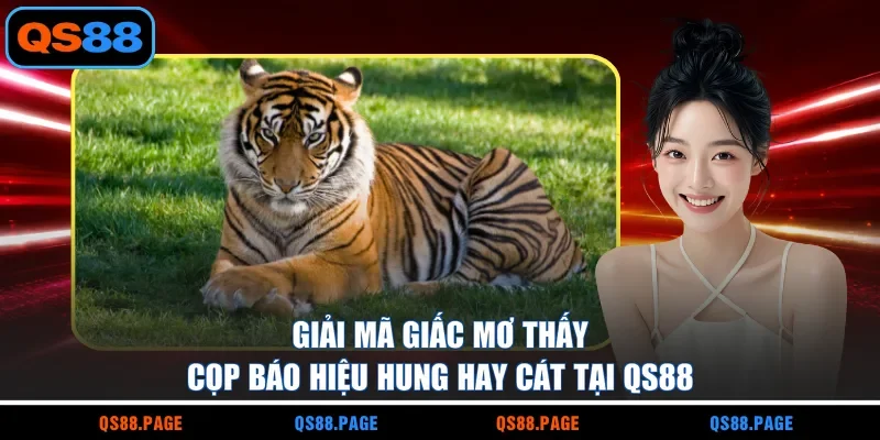 Giải Mã Giấc Mơ Thấy Cọp Báo Hiệu Hung Hay Cát Tại QS88