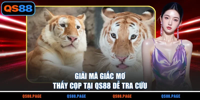 Giải mã giấc mơ thấy cọp tại QS88 dễ tra cứu