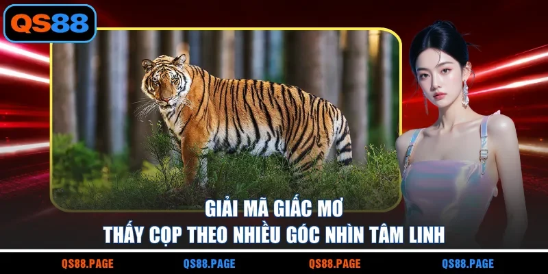 Giải mã giấc mơ thấy cọp theo nhiều góc nhìn tâm linh
