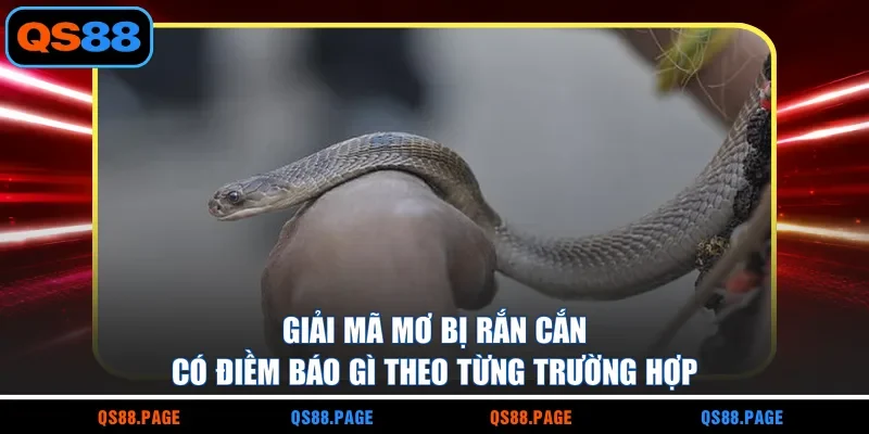 Giải mã mơ bị rắn cắn có điềm báo gì theo từng trường hợp