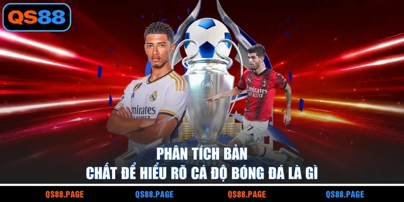Phân tích bản chất để hiểu rõ cá độ bóng đá là gì