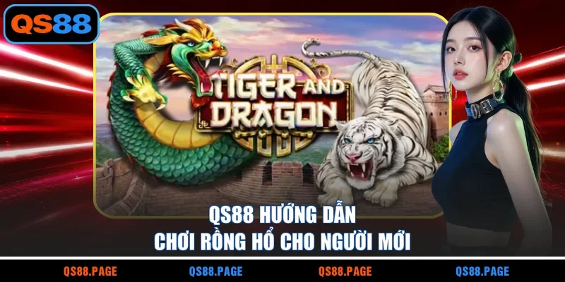 QS88 hướng dẫn chơi Rồng Hổ cho người mới