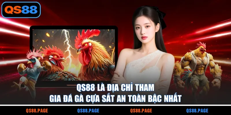 QS88 là địa chỉ tham gia đá gà cựa sắt an toàn bậc nhất