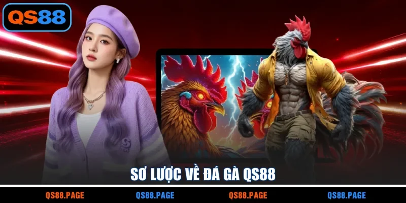 Sơ lược về đá gà QS88