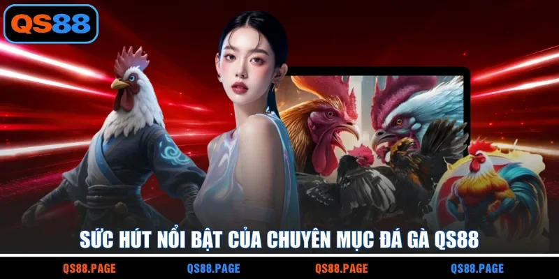 Sức hút nổi bật của chuyên mục đá gà QS88