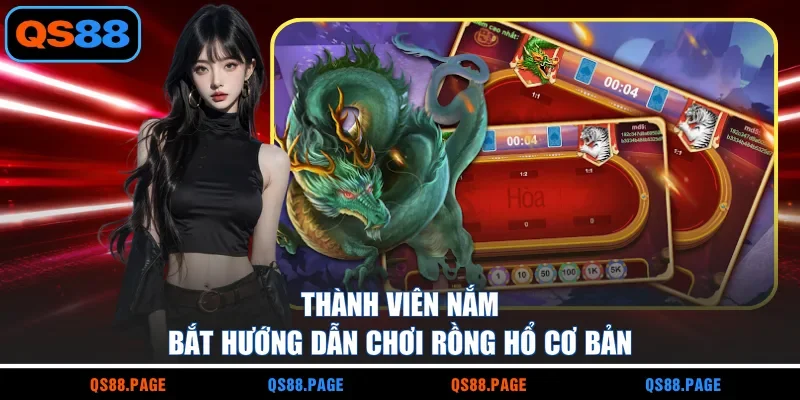 Thành viên nắm bắt hướng dẫn chơi Rồng Hổ cơ bản