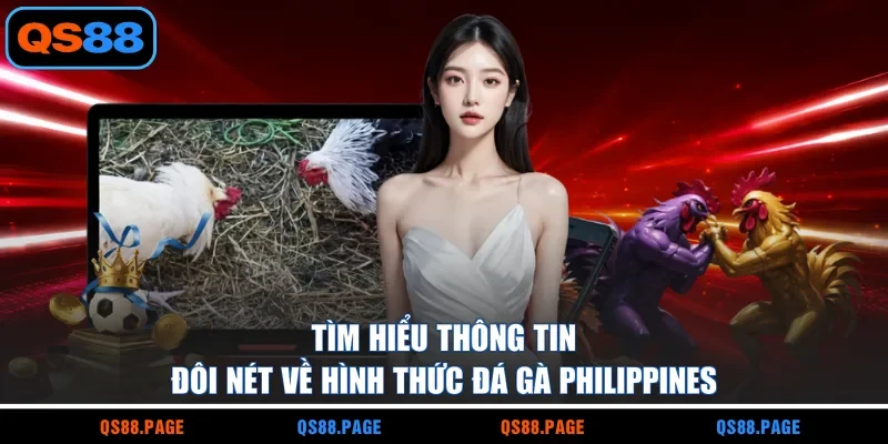 Tìm hiểu thông tin đôi nét về hình thức đá gà Philippines